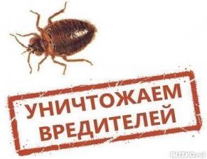 Профессиональное уничтожение тараканов в Ялте, Алуште, Алупке.