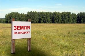 Продам земельный пай в Крыму